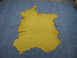 Elk Leather: #3: Prairie Gold (sq ft) 