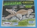 Alligator Puzzle - 471-1118 (Y1X)