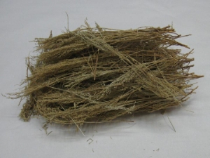 Loose Gray Sage (pound) 