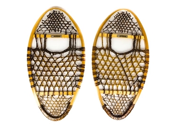 Bear Paw Snowshoes 