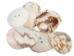 1.5" Clam Shell Button - 491-1.5 (Y2LC07)