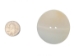2.0" Clam Shell Button - 491-2.0 (Y2HC03)