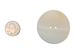 2.0" Clam Shell Button - 491-2.0 (Y2H)