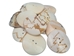 2.0" Clam Shell Button - 491-2.0 (Y2H)