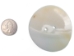 2.5" Clam Shell Button - 491-2.5 (Y2HC12)