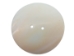 2.5" Clam Shell Button - 491-2.5 (Y2HC12)
