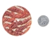Australian Abalone Button: 100-Line (63.5mm or 2.5") - 495-100L (Y1MC17)