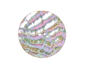 Australian Abalone Button: 100-Line (63.5mm or 2.5") 