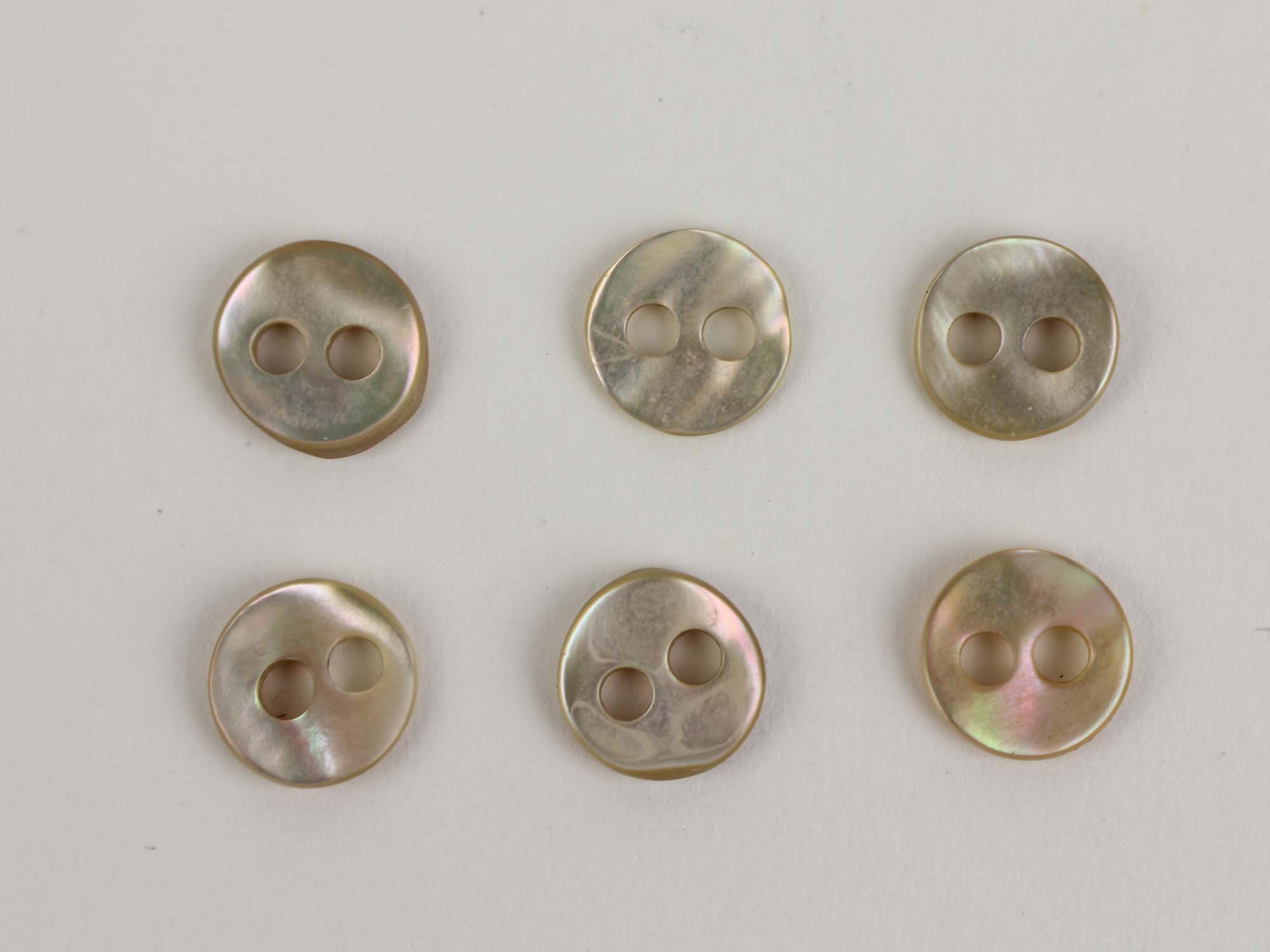 495AF-1.50 Ten Q6 60L  1.5  38mm African Abalone Shell Buttons 10