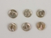 Australian Abalone Button: 10-Line (6.35mm or 0.25&quot;) - 495-10L (Y2J)