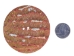 Australian Abalone Button: 120-Line (76.2mm or 3") - 495-120L (Y2KC04)