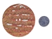 Australian Abalone Button: 120-Line (76.2mm or 3&quot;) - 495-120L (Y2K)