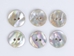 Australian Abalone Button: 20-Line (12.7mm or 0.5&quot;) - 495-20L
