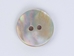 Australian Abalone Button: 20-Line (12.7mm or 0.5&quot;) - 495-20L