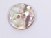 Australian Abalone Button: 30-Line (19mm or 0.75&quot;) - 495-30L (Y2K)