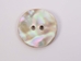 Australian Abalone Button: 36-Line (22.9mm or 0.9&quot;) - 495-36L (Y2J)