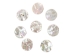 Australian Abalone Button: 40-Line (25.4mm or 1") - 495-40L (Y2KC20)