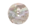 Australian Abalone Button: 40-Line (25.4mm or 1") - 495-40L (Y2KC20)
