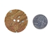 Australian Abalone Button: 60-Line (38.1mm or 1.5&quot;) - 495-60L (C6)