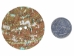 Australian Abalone Button: 80-Line (50.8mm or 2") - 495-80L (Y2KC03)