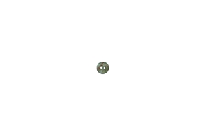 African Abalone Shell Button: 12.5mm (0.5") 