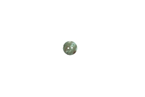 African Abalone Shell Button: 20mm (0.78") 