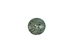 African Abalone Shell Button: 60mm (2.36") - 495AF-2.36 (Y2K)