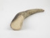 Moose Antler Tip - 513-TIP-S (Y1J)
