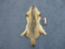 North American Badger Skin: Trading Post Grade - 52-TP-A-AS (Y2FWR)(Y2KWR)