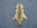 North American Badger Skin: Trading Post Grade - 52-TP-A-AS (Y2FWR)(Y2KWR)