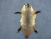 North American Badger Skin with Feet: Assorted - 52-WF-A-AS