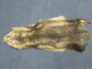 North American Opossum Skin: Craft Grade 