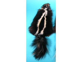 Skunk Skin: Craft Grade skunk hides, skunk pelts, skunk furs