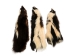 Skunk Skin with No Tail: Craft Grade - 54-CRNT (Y2LWR)