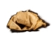 Skunk Skin with No Tail: Craft Grade - 54-CRNT (Y2LWR)