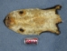 Skunk Skin without Tail: Quick Tanned - 54-QT (Y1LRK)