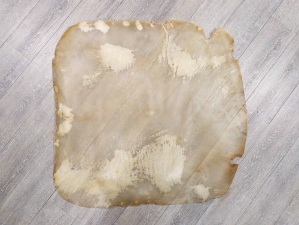 Calf Rawhide 
