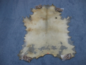 Deer Rawhide: #1: Natural 