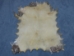 Deer Rawhide: #2: Natural - 55-40-2N