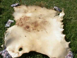 Deer Rawhide: #4: Natural 