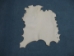 Bleached Goat Rawhide: Medium - 55-51MB (Y2J)