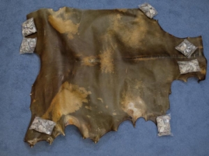 Horse Rawhide 