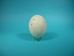 Carved White Ostrich Egg: Ram - 559-CAR-10 (O17)