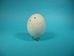 Carved White Ostrich Egg: Ram - 559-CAR-10 (O17)