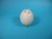 Carved White Ostrich Egg: Hippopotamus - 559-CAR-11 (O17)