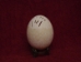 Carved White Ostrich Egg: Leopard - 559-CAR-13 (O17)
