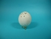 Carved White Ostrich Egg: Rhinoceros - 559-CAR-6 (O17)