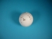 Carved White Ostrich Egg: Rhinoceros - 559-CAR-6 (O17)