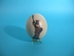 Decoupage Egg: USA Eagle / Statue of Liberty - 559-DEC-1 (R)