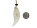 Realistic Bear Tooth Necklace: 1-Tooth - 560-201